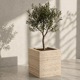 Olive Grove Planter