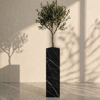 Black Marquina