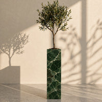 Jungle Green