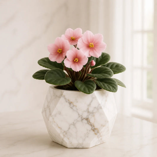 Urban Marble Planter