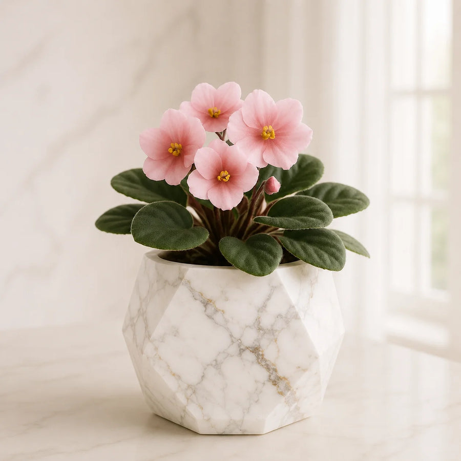 Urban Marble Planter