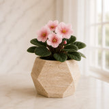 Urban Marble Planter